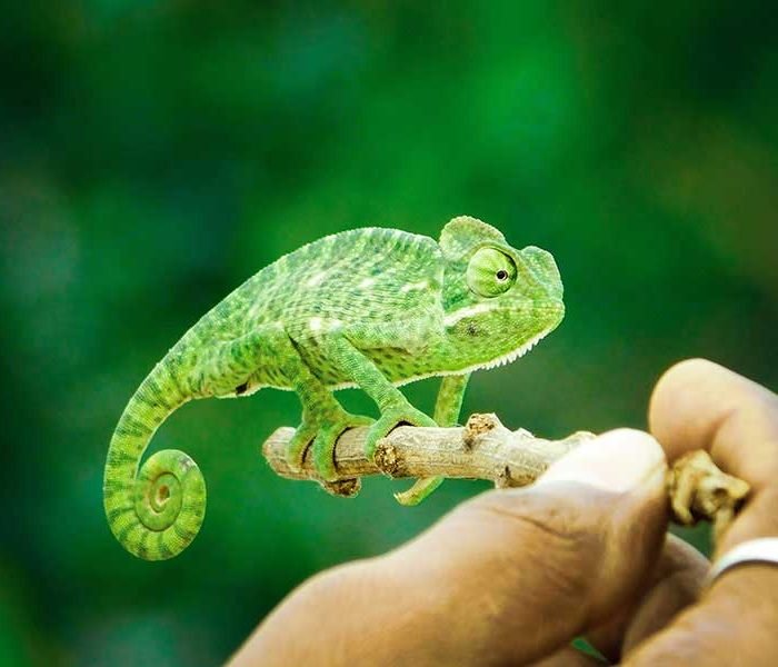 Traveled: Lessons from Taking Risks