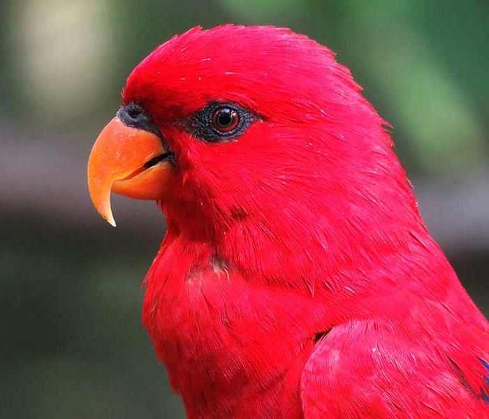 My Experience with Anxiety and Depression