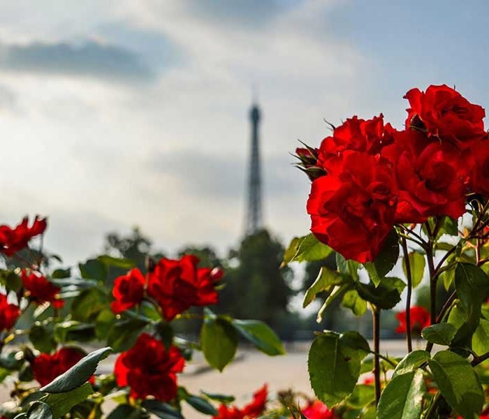 Travel: Exploring the World on My Own