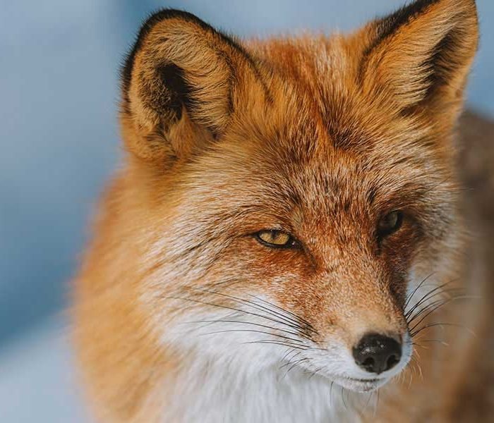 Learning to Embrace My Imperfections