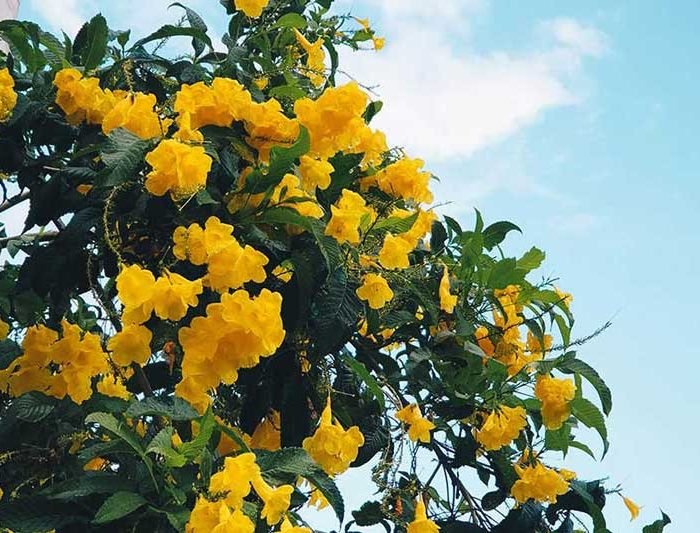 Breaking Free from Conventional Wisdom